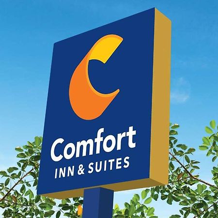 Comfort Inn & Suites Newark Liberty International Airport Exteriör bild